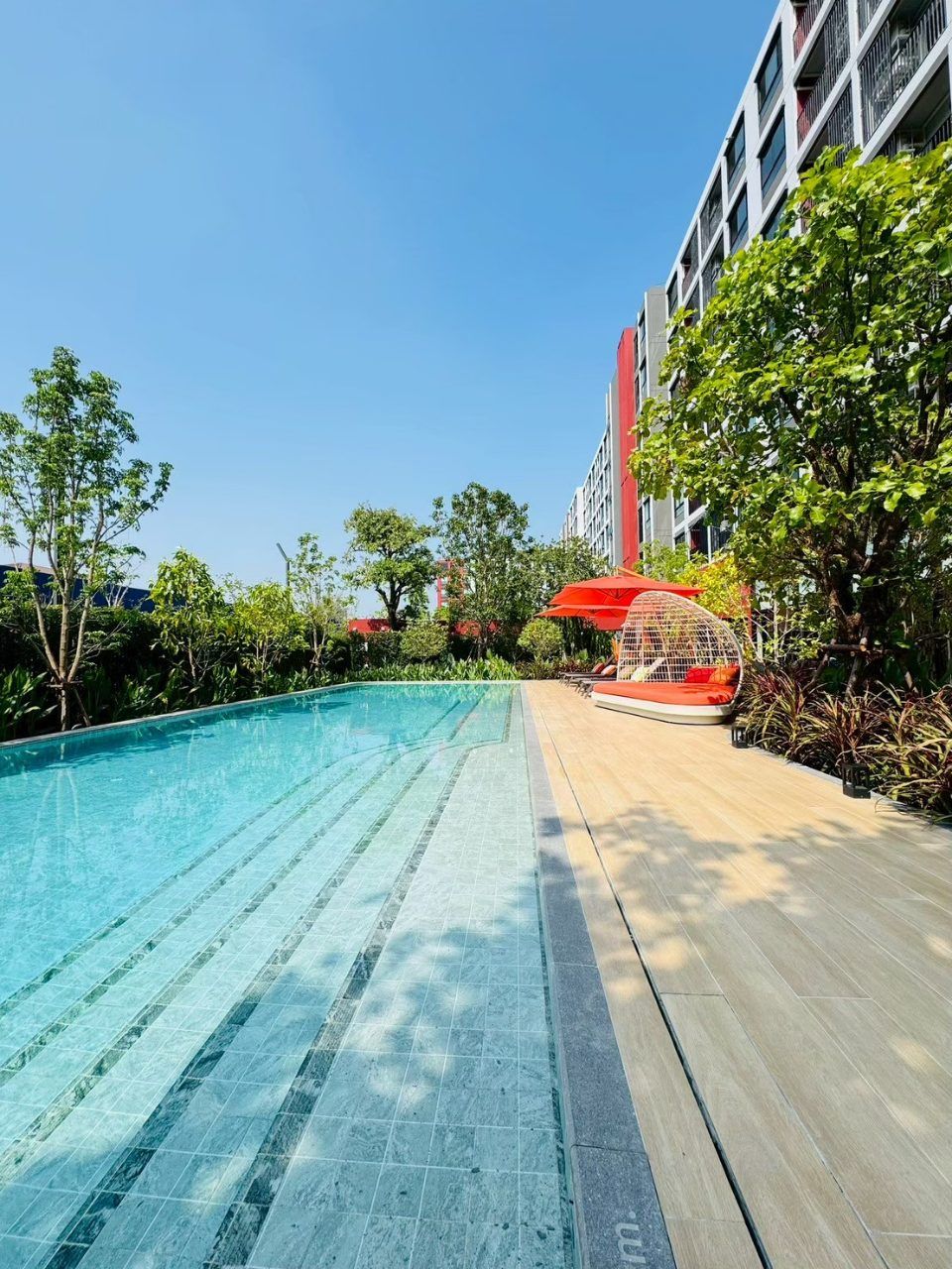 ดีคอนโด วิวิด รังสิต คอนโดตรงข้าม ม.กรุงเทพ ข้ามสะพานลอยก็ถึงมหาลัย พร้อมอยู่! โทร 0616161426 รูปที่ 10