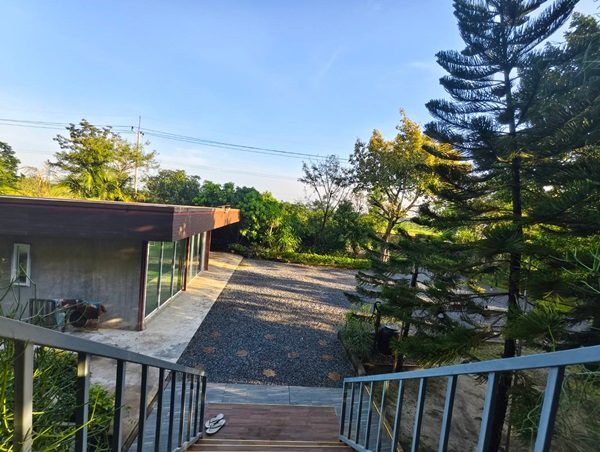 ขายบ้านสวน พร้อมที่ดิน รวม 3 ไร่ บึงกาสาม อ.หนองเสือ จ.ปทุมธานี น้ำไม่ท่วม เจ้าของขายเอง โทร.086-7777215 รูปที่ 5