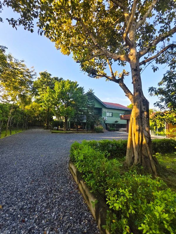 ขายบ้านสวน พร้อมที่ดิน รวม 3 ไร่ บึงกาสาม อ.หนองเสือ จ.ปทุมธานี น้ำไม่ท่วม เจ้าของขายเอง โทร.086-7777215 รูปที่ 7