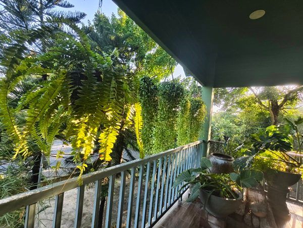 ขายบ้านสวน พร้อมที่ดิน รวม 3 ไร่ บึงกาสาม อ.หนองเสือ จ.ปทุมธานี น้ำไม่ท่วม เจ้าของขายเอง โทร.086-7777215 รูปที่ 8