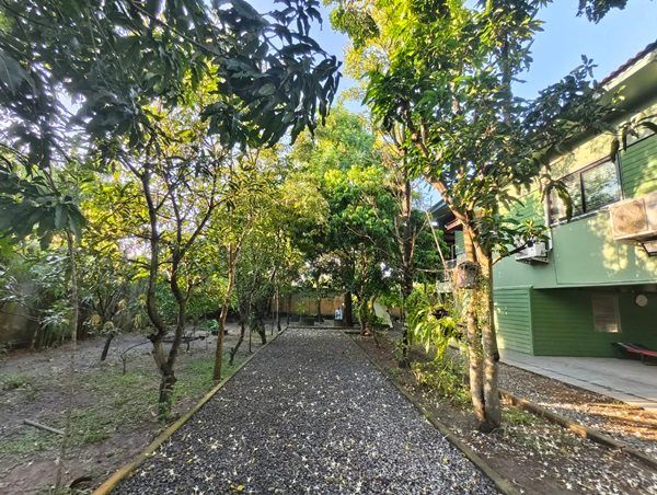 ขายบ้านสวน พร้อมที่ดิน รวม 3 ไร่ บึงกาสาม อ.หนองเสือ จ.ปทุมธานี น้ำไม่ท่วม เจ้าของขายเอง โทร.086-7777215 รูปที่ 10