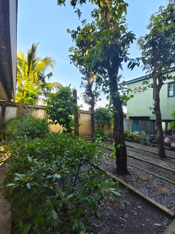 ขายบ้านสวน พร้อมที่ดิน รวม 3 ไร่ บึงกาสาม อ.หนองเสือ จ.ปทุมธานี น้ำไม่ท่วม เจ้าของขายเอง โทร.086-7777215 รูปที่ 14