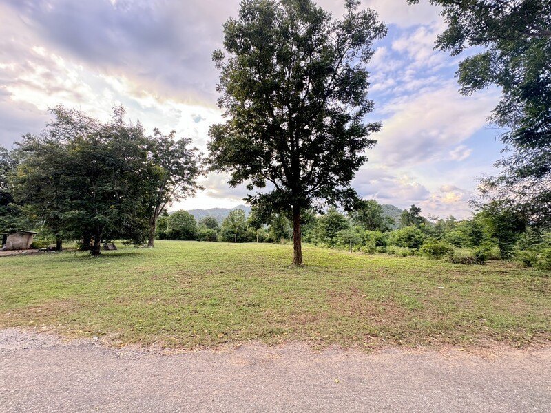 ขายที่ดินเปล่า บรรยากาศดี วิวเขาสุดปัง อากาศบริสุทธิ์ เดินทางสะดวก รูปที่ 2