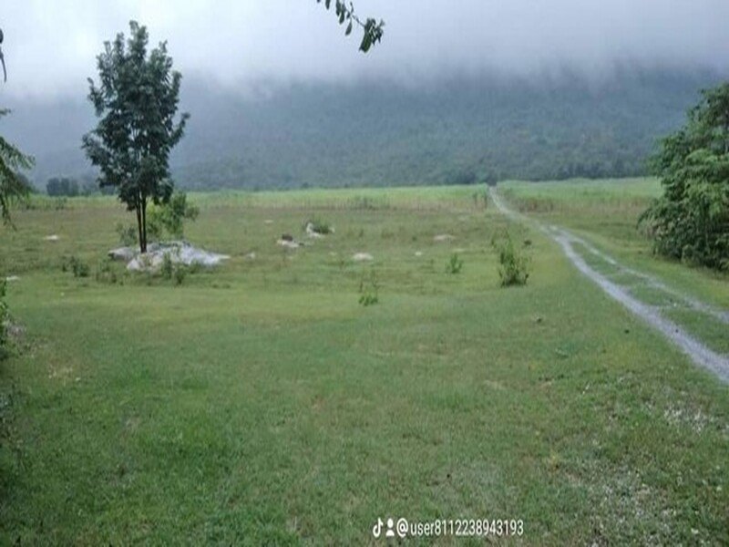 รูปที่ 2