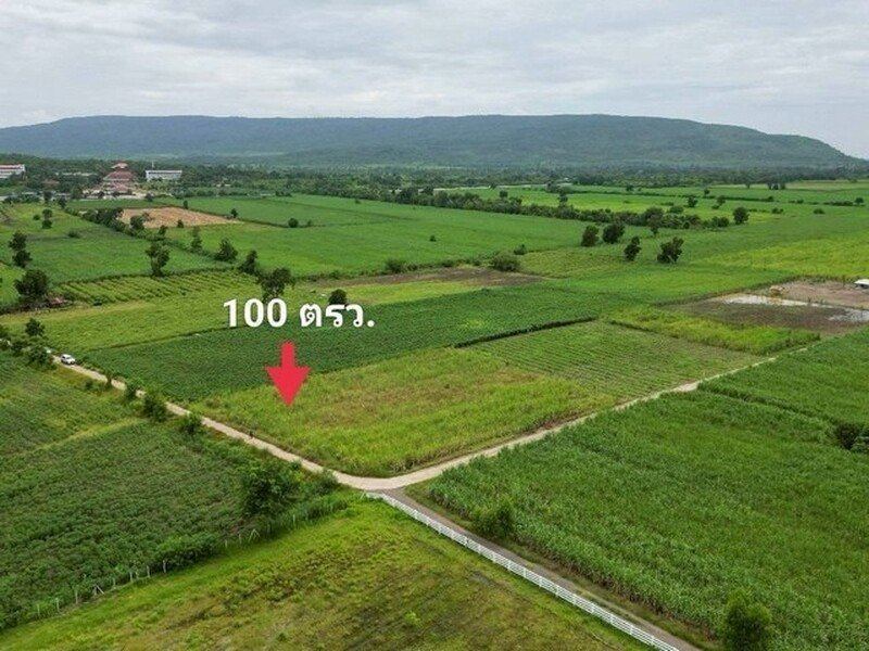 ถูกสุด ที่วิวเขา ติดถนนคอนกรีต1แสนบาท100ตรว. วังเพลิง โคกสำโรง ลพบุรี T.086-301-6161สวยมากค่ะที่ดินวิวเขา ติดคอนกรีต ดินถมเสมอถนน ฟรีค่าโอน