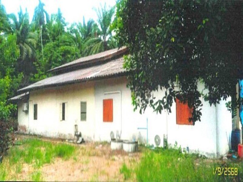 รูปที่ 2