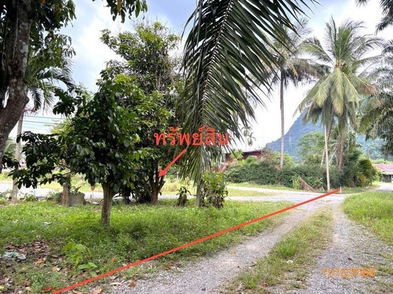 รูปที่ 2