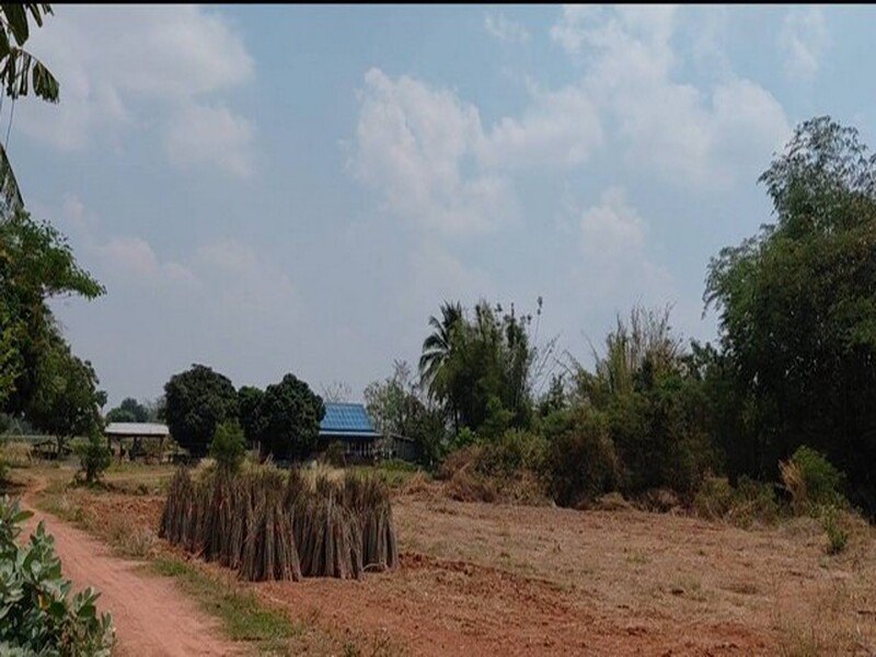 รูปที่ 2