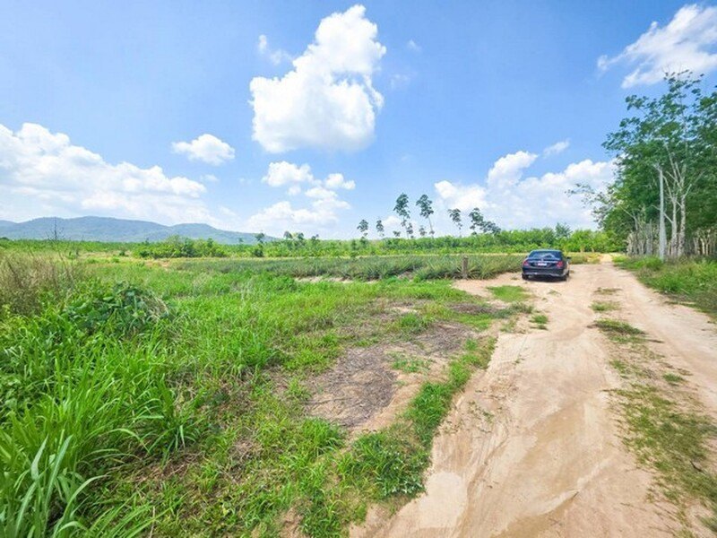 รูปที่ 2
