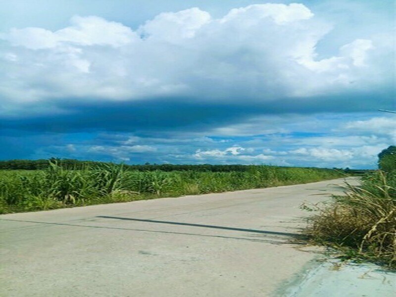รูปที่ 2
