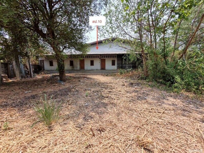 รูปที่ 2