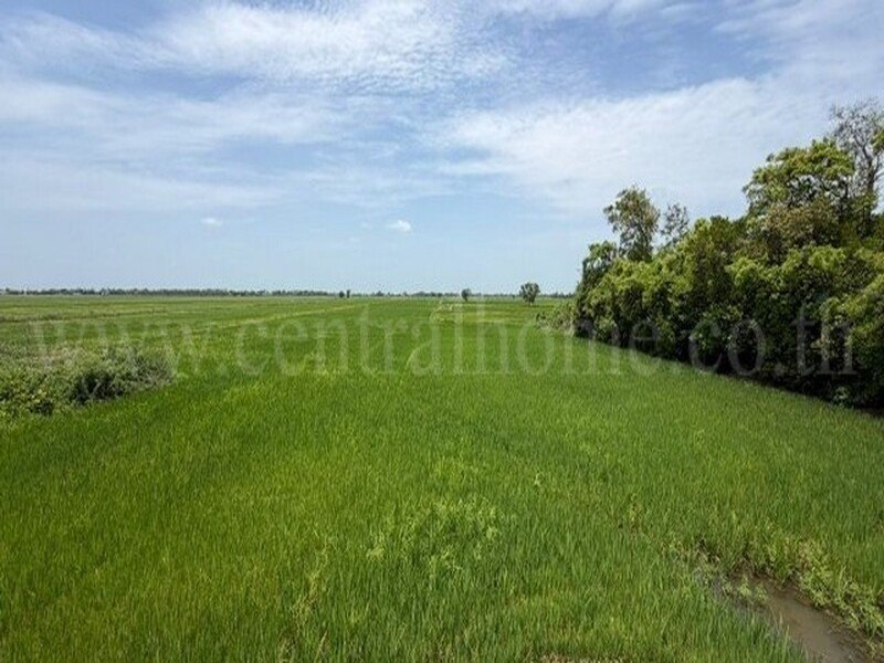 ที่ดินราคาถูก 4-2-63 ไร่ เข้าออกได้หลายทาง ต.บางซ้าย พระนครศรีอยุธยา รูปที่ 2