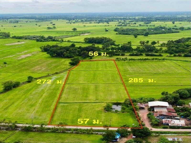 ขายที่ดิน พิจิตร ,สากเหล็ก ,หนองหญ้าไทร พื้นที่ 10-1-96 ตารางวา รูปที่ 2