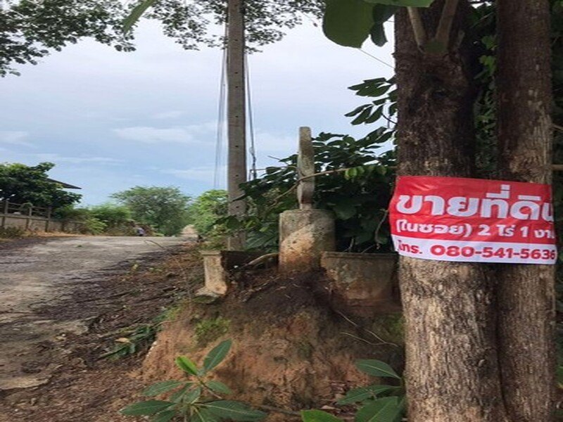 รูปที่ 2