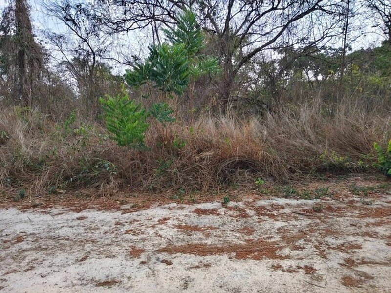 ขายที่ดิน พื้นที่ 579 ไร่ ผังม่วง แปลงยาว ฉะเชิงเทรา ใกล้นิคมเกตย์เวย์ซืตี้ รูปที่ 2