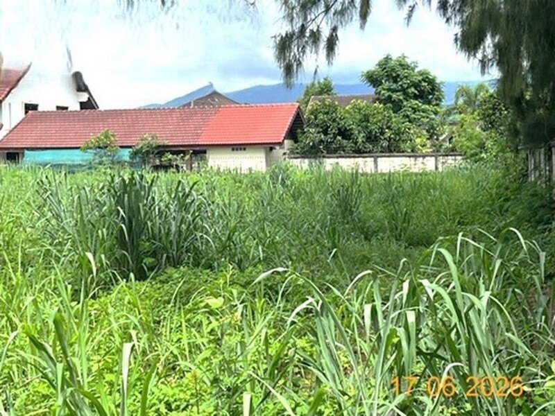 ขายที่ดินเชียงใหม่ เนื้อที่ 1-1-49.00 ไร่ อำเภอสันทราย ถนนเชียงใหม่-พร้าว รูปที่ 4