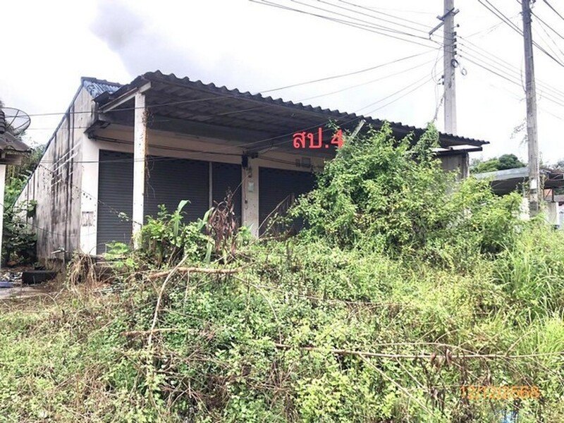 รูปที่ 2