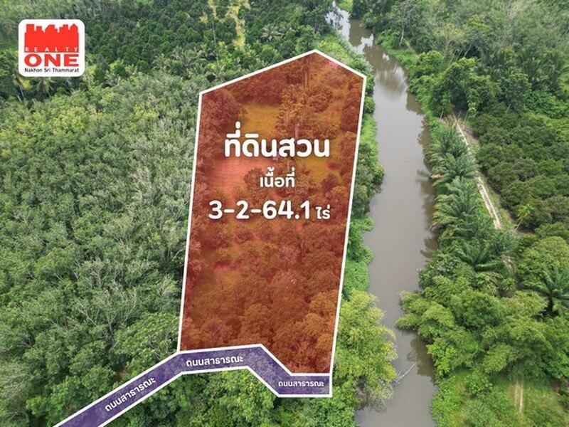 สวนผลไม้ ริมคลองบ้านตาล เนื้อที่ 3 - 2 - 64.1 ไร่ เหมาะสำหรับทำสวนเกษตร หรือทำบ้านสวน รูปที่ 2