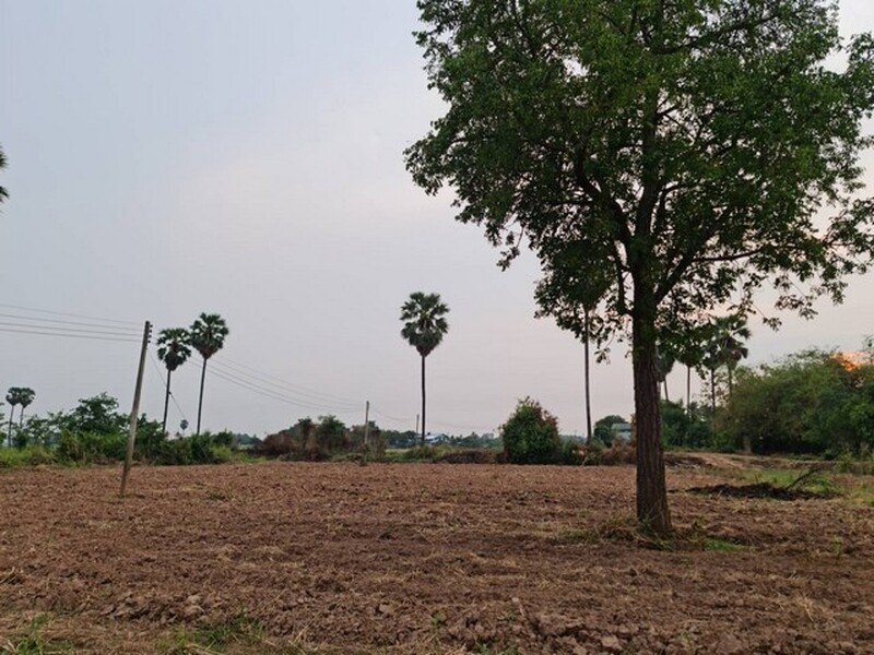 ทั้งปล่อยเช่า หรือขาย ที่ดินติดแม่น้ำน่าน ที่สวยติดแม่น้ำน่าน ชุมแสง  จ.นครสวรรค์ วิวแม่น้ำเกษตรดีงามสวยสมบูรณ์