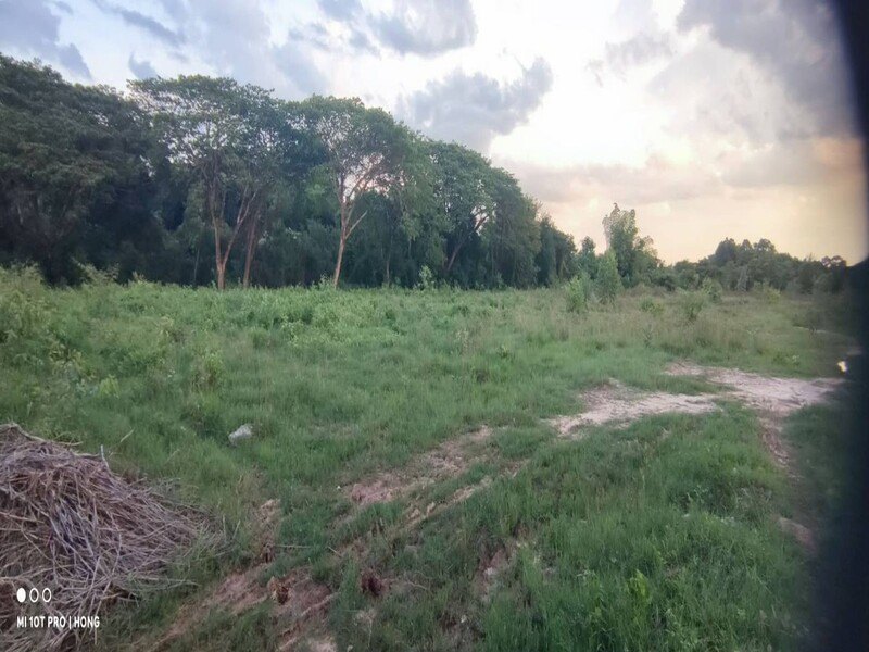รูปที่ 2