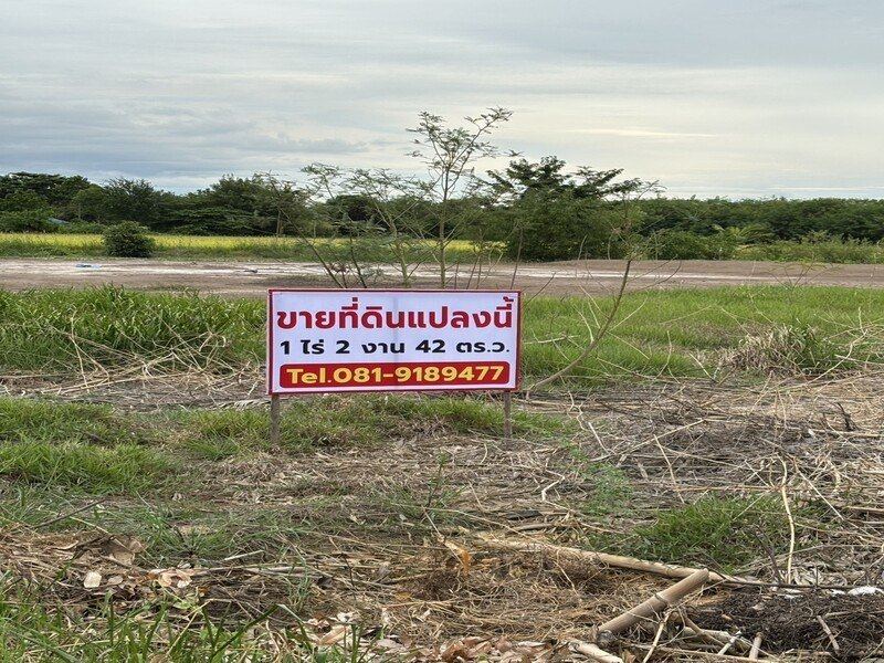 ขายที่ดินถมแล้ว เจ้าของขายเอง  ทำเลดีติดถนนซอย 2 ฝั่ง พระนครศรีอยุธยา