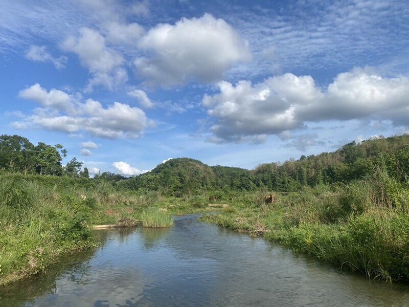 ขาย และให้เช่า ที่ดินติดลำธาร ลำน้ำมวบ จ.น่าน เมืองเหนือ ต.พงษ์ อ.สันติสุข จ.น่าน ชุ่มฉ่ำตลอดปี สวยวิวล้าน รูปที่ 2
