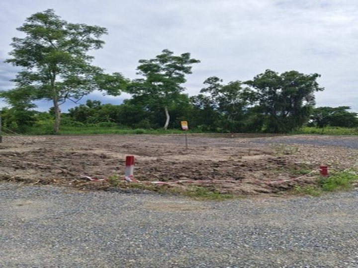 ขายที่ดินเปล่า เนื้อที่ 47 - 120 ตร.ว. ถมแล้ว คลองสิบสอง หนองจอก กรุงเทพ