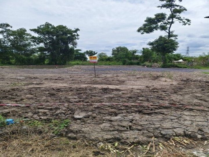 รูปที่ 2