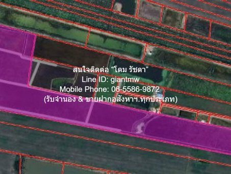 รูปที่ 1