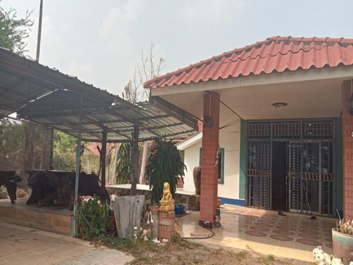 รูปที่ 1
