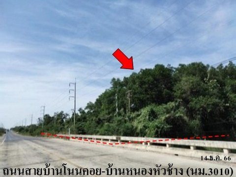 ขายบ้านเดี่ยว ถนน สายบ้านโนนคอย-บ้านหนองหัวช้าง (นม.3010) ตำบล หนองระเวียง อำเภอ พิมาย จังหวัด นครราชสีมา