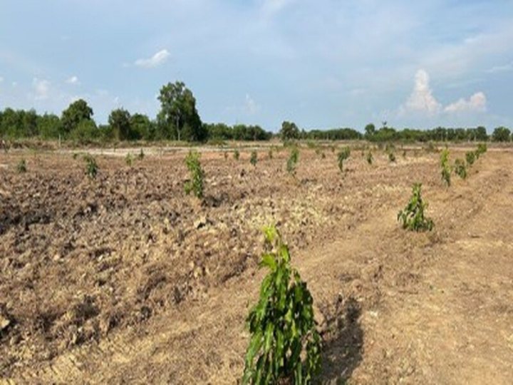 รูปที่ 2