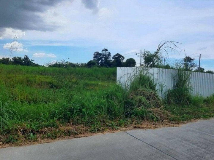 รูปที่ 2