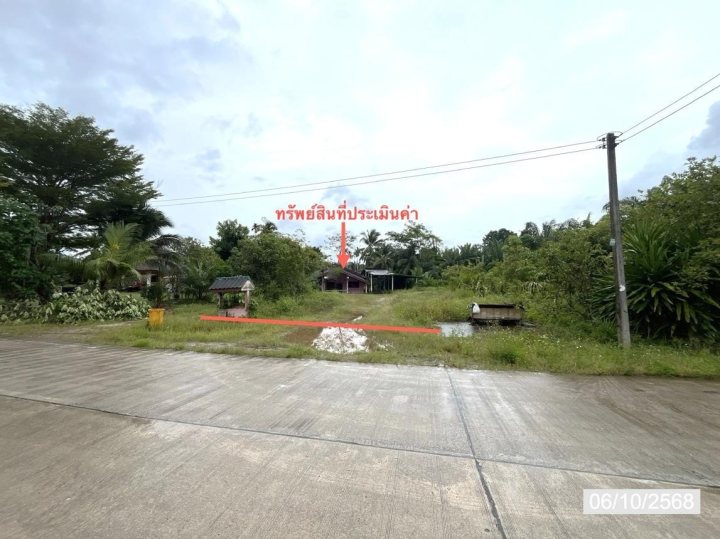 ขาย บ้านเดี่ยว สุราษฎร์ธานี อำเภอ เวียงสระ จังหวัด สุราษฎร์ธานี