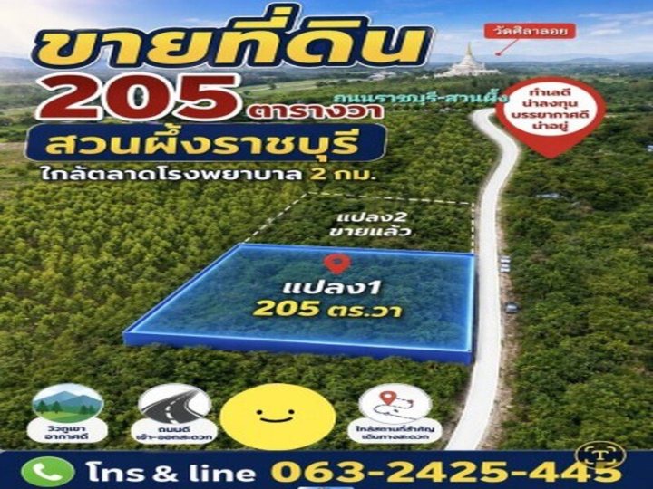 รูปที่ 1