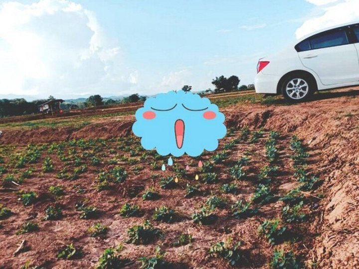 รูปที่ 1