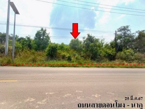 ขายที่ดินว่างเปล่า ถนน สายดอนโมง-นาคู ตำบล หนองญาติ อำเภอ เมืองนครพนม จังหวัด นครพนม