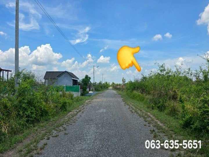 รูปที่ 1