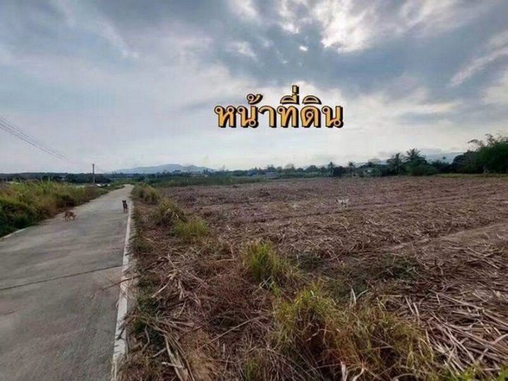 ขายที่ดิน แปลงสวย 6 ไร่ ทำเลทอง เขตพัฒนาเมือง บ้านบึง ชลบุรี