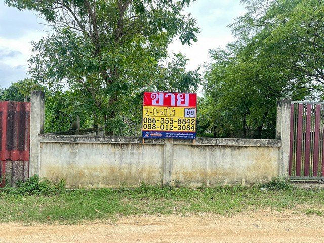 ขายที่ดิน  2-0-50 ไร่  ซอยทุ่งกลม-ตาลหมัน  ห้วยใหญ่  บางละมุง  ชลบุรี   ZT867