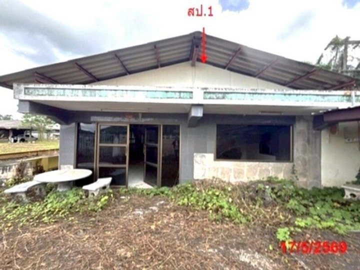 รูปที่ 1