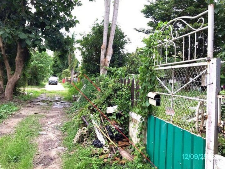 รูปที่ 1