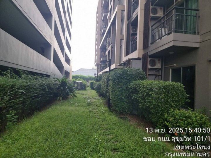 รูปที่ 2