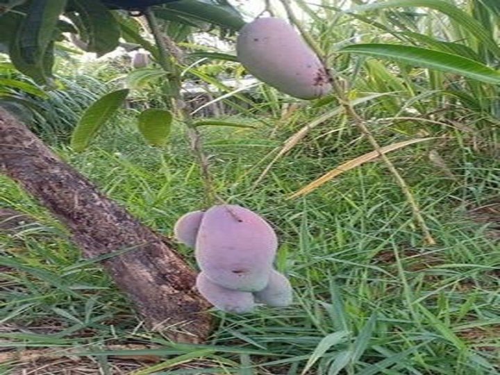 รูปที่ 2