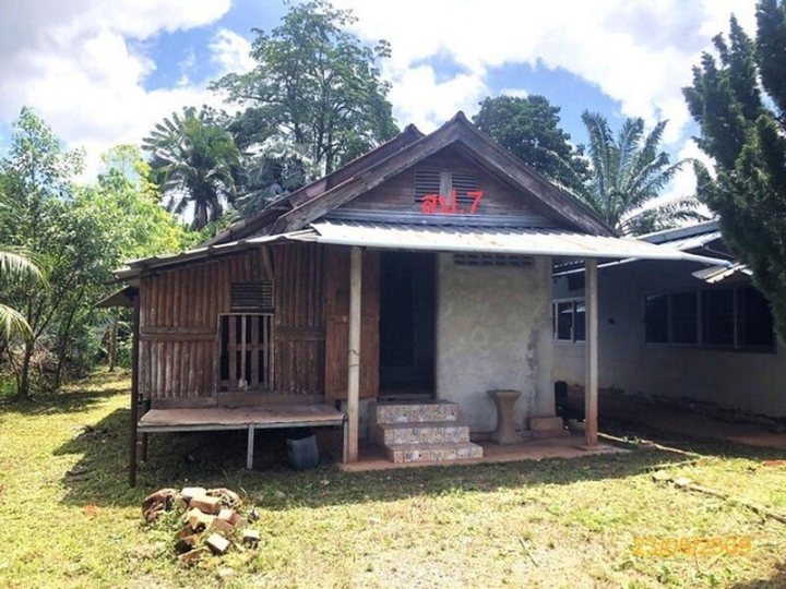 รูปที่ 1