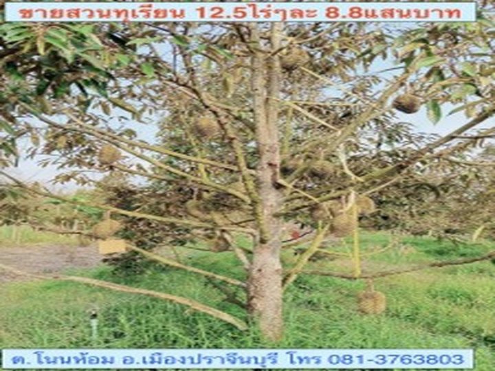 รูปที่ 2