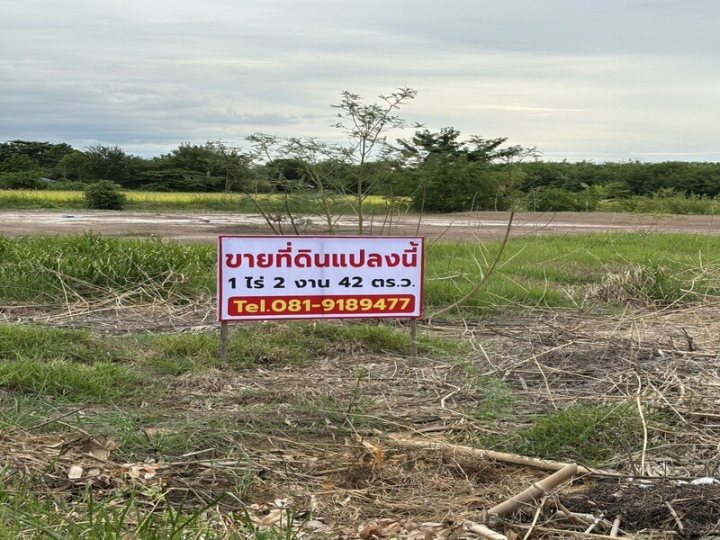 รูปที่ 1
