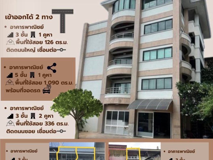 รูปที่ 1