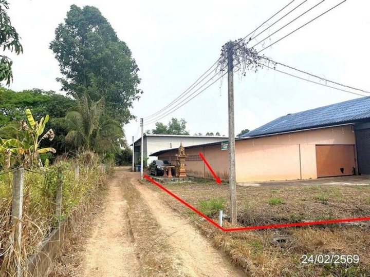 รูปที่ 1
