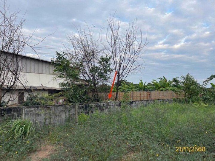 รูปที่ 2